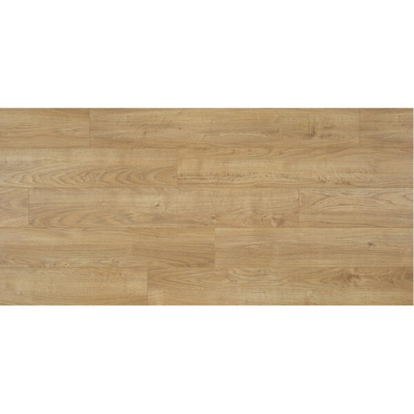 Classia 4V – Image 3