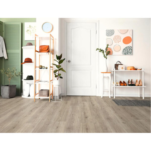 Standard Plus – Image 4