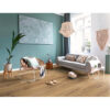 Standard Plus – Image 2