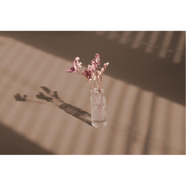 MOHELI – Image 3