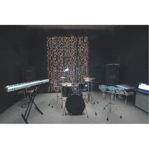 Electra – Image 2