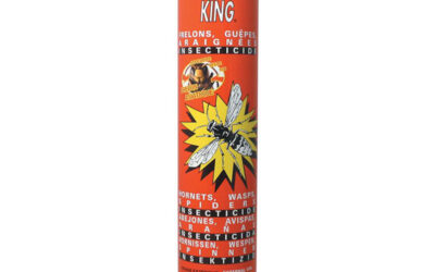 Insecticide Anti Frelons-Guêpes