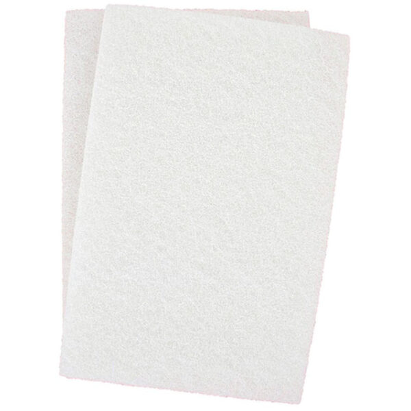 Tampon récurant blanc