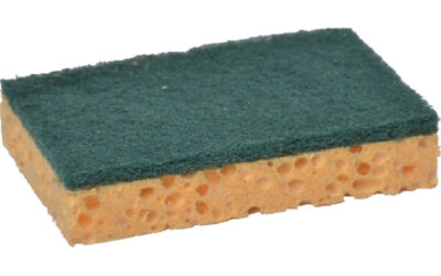 Tampon vert sur éponge 74