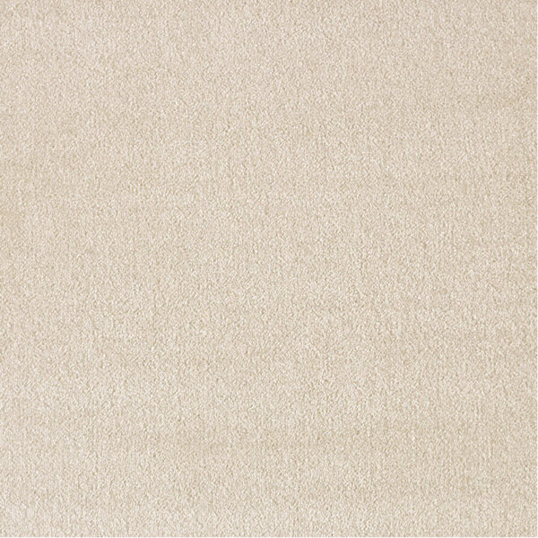 AMALIE – Image 3