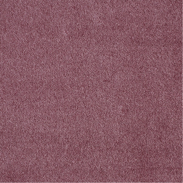 AMALIE – Image 10