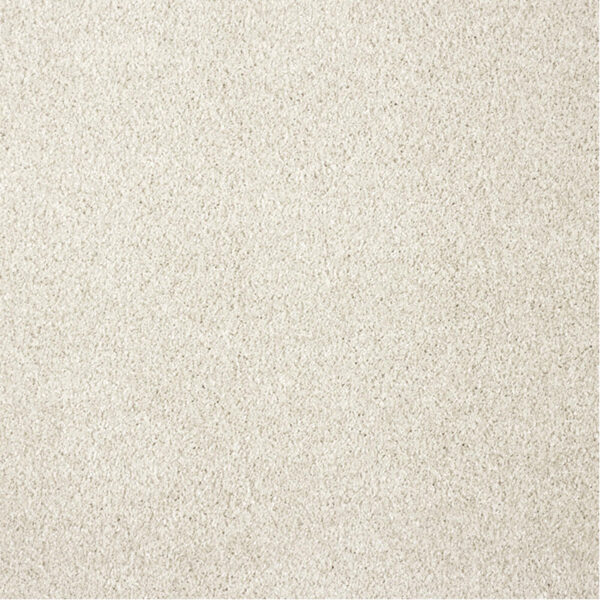 CANDIDE – Image 2