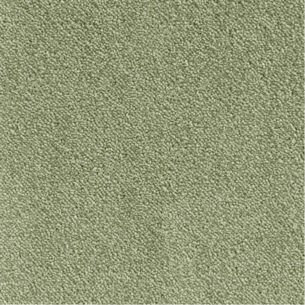 LEONOR – Image 2