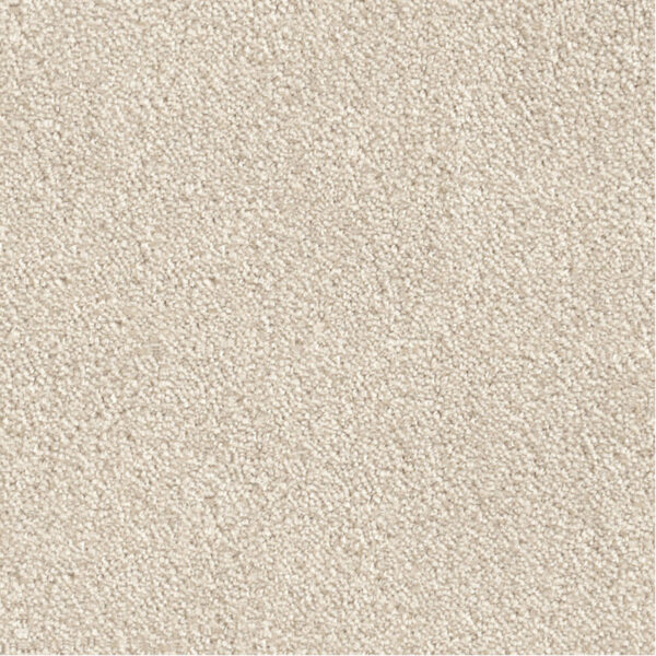 LEONOR – Image 4