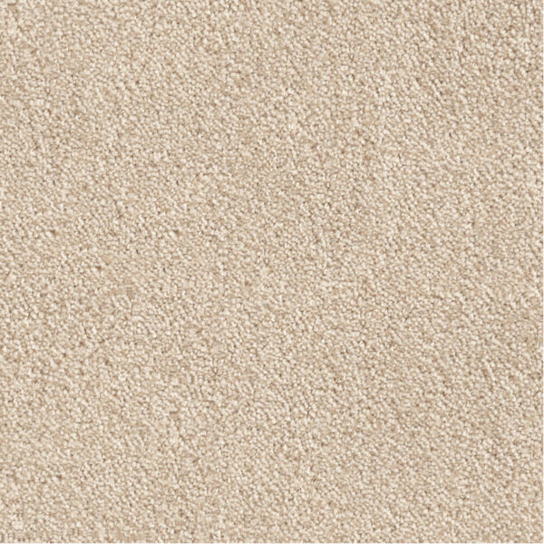 LEONOR – Image 5