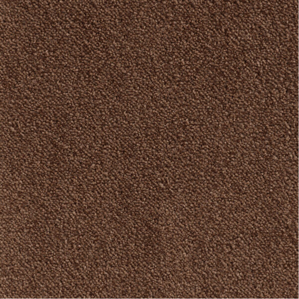 LEONOR – Image 6