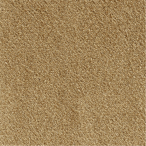LEONOR – Image 7