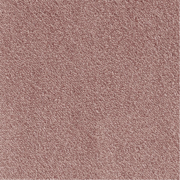 LEONOR – Image 11