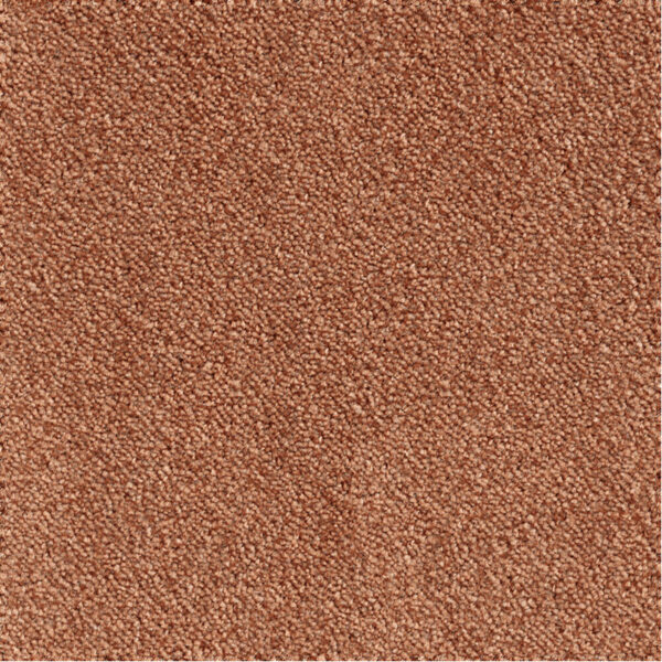 LEONOR – Image 13