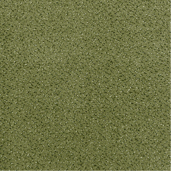 MATRERO – Image 2
