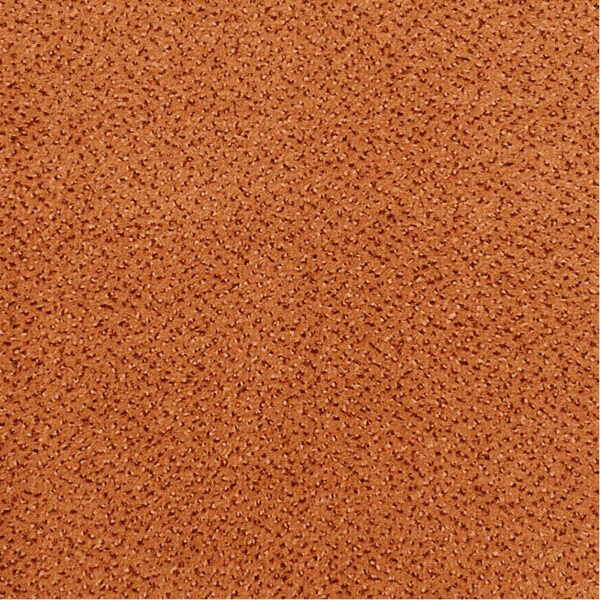 MATRERO – Image 11