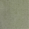 PACINI – Image 2