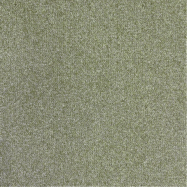 PACINI – Image 2