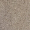 PACINI – Image 3