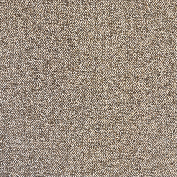 PACINI – Image 3