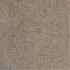 PACINI – Image 4