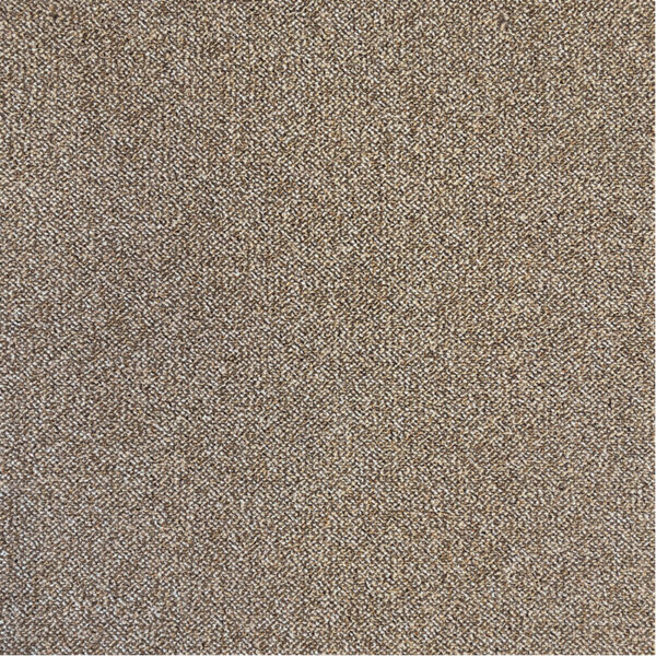 PACINI – Image 4