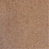 PACINI – Image 7