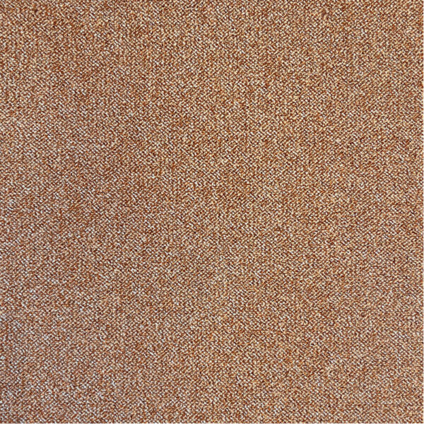 PACINI – Image 7