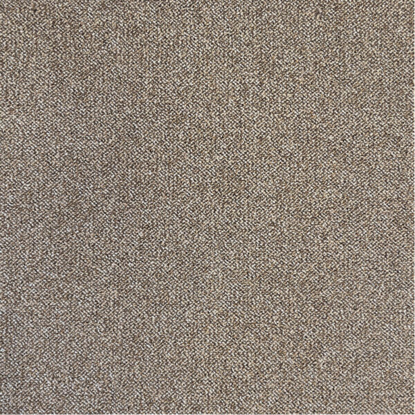 PACINI – Image 9
