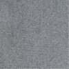 PACINI – Image 10