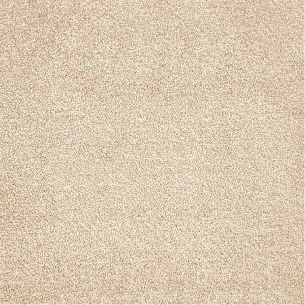 SIRIPO – Image 2